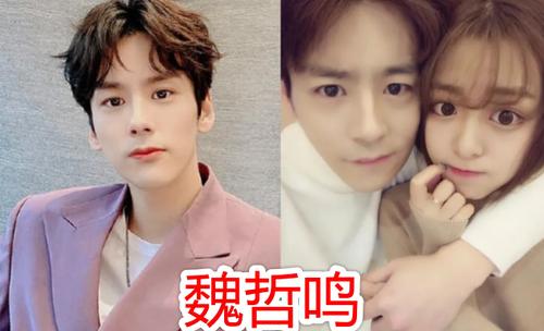 魏哲鸣承认已婚为什么离婚?魏哲鸣前妻王岚是做什么的资料照片