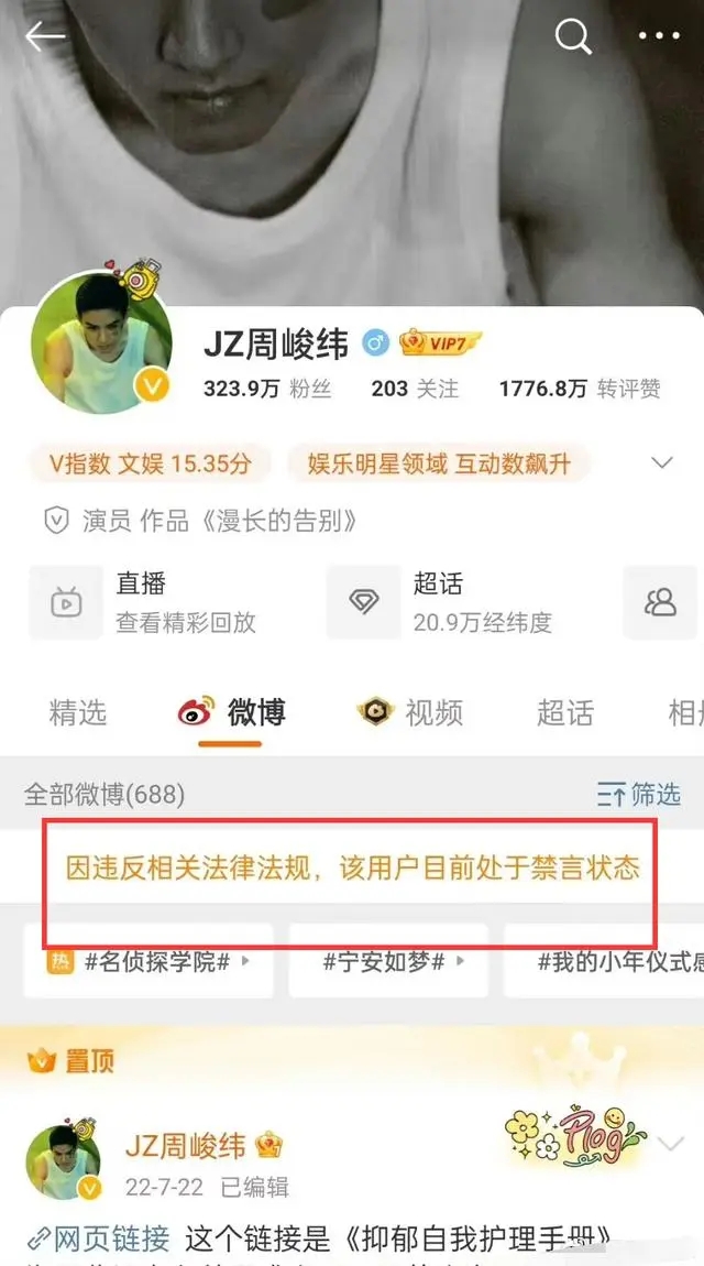 周峻纬是怎么塌房了为啥塌了说了啥话啊?还能复出吗什么时候解封