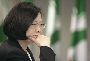 民进党主席蔡英文老公是谁