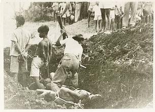 9名空姐被残忍杀害照片,印尼残忍杀害华人照,