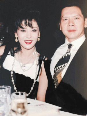 向华强为什么娶陈岚原因,向华强老婆陈岚背景简历年轻照片