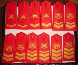 中国女六级士官待遇,解放军有多少6级士官,六