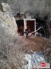 失踪少女案真相吃人肉,城固县失踪3000少女案