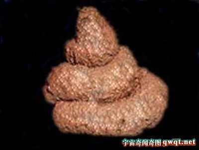 日本人吃美女水果屎,日本人高价吃美女大便,日本人与狗牲交电影_168军事网