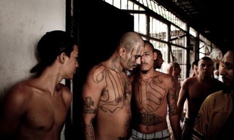 美国华人黑帮老大|美国华人黑帮|美国华人黑帮