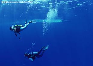 潜水员工资多少钱,鲨鱼为什么不吃潜水员,潜水