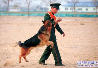 农村退伍老兵优抚政策及享受的待遇,警犬送老