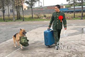 农村退伍老兵优抚政策及享受的待遇,警犬送老