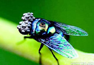 什么是纳米武器及用途?纳米武器攻击的精确化