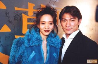 梅艳芳去世葬礼刘德华哭了照片视频,刘德华怀