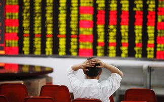 股市下跌内幕 股市泡沫破灭后什么最赚钱 201