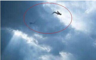 武汉工地挖出百年巨蟒 中国发现200米巨蟒 中