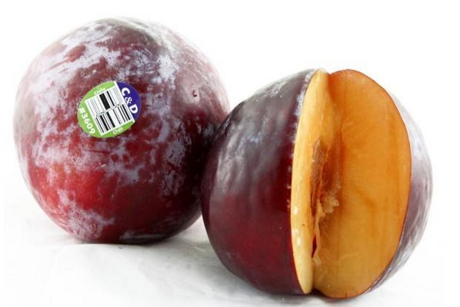 龙蛋价格-中国恐龙蛋可以拍卖吗,恐龙蛋水果价