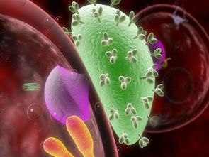 新疆艾滋病人滴血事件 艾滋病发病能活几年 带