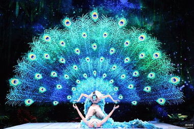 杨丽萍脖子总是遮盖 杨丽萍和老公婚礼照片 杨