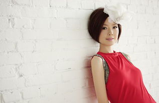 陈鲁豫第一任丈夫离婚鲁豫家暴为什么不生孩子