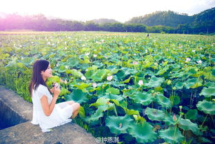 非常完美校花钟恩淇老公张鹤结婚照 天天向上