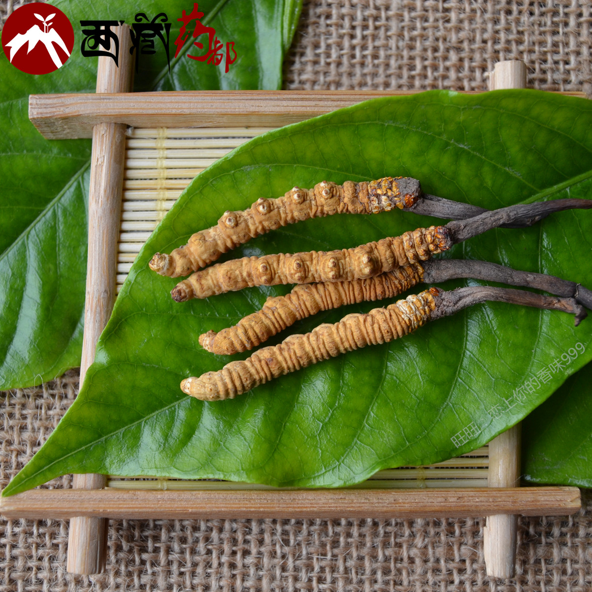 冬虫夏草多少钱一克 冬虫夏草怎么吃最好 冬虫