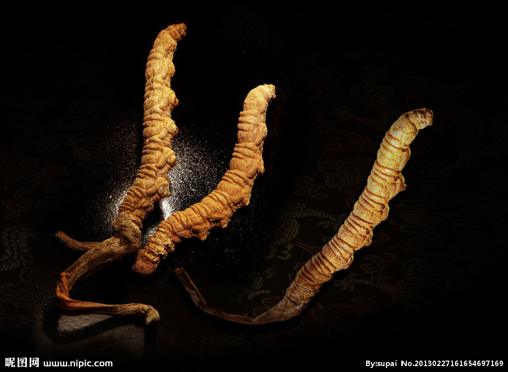 冬虫夏草多少钱一克 冬虫夏草怎么吃最好 冬虫