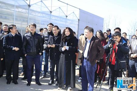 赵薇没有别的爱开机演员名单资料照片,赵薇第