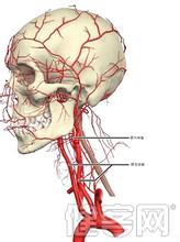 什么是阿米巴原虫图片,深圳男子玩水感染寄生