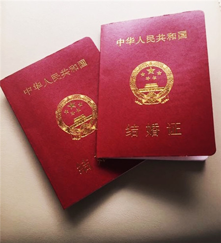 张雨绮再婚老公是谁袁巴元个人资料家庭背景曝光 张雨绮情史揭秘