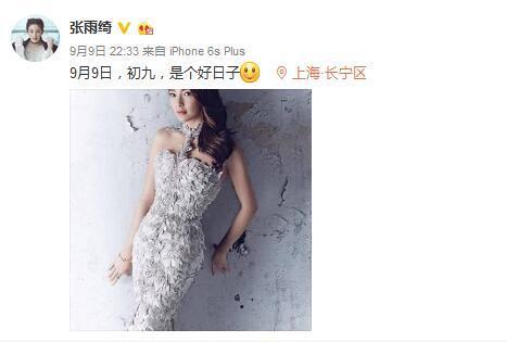 张雨绮再婚老公是谁袁巴元个人资料家庭背景曝光 张雨绮情史揭秘