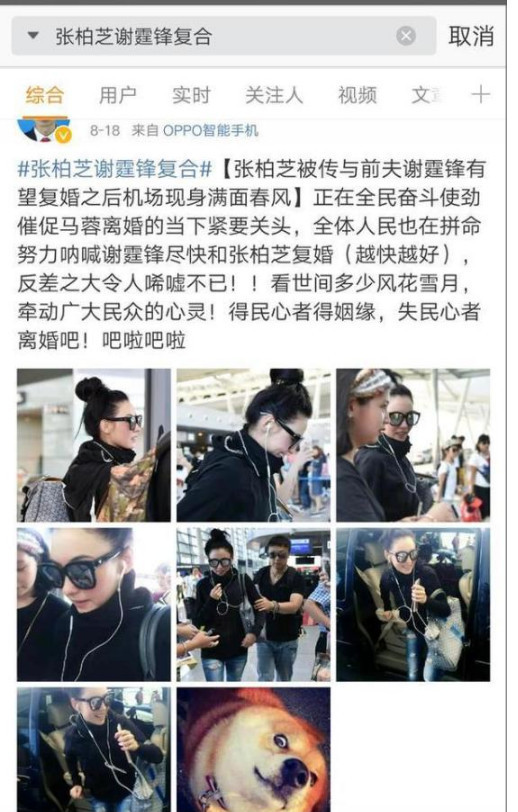 谢霆锋张柏芝要复婚是真的吗 谢霆锋为什么不娶王菲原因揭秘