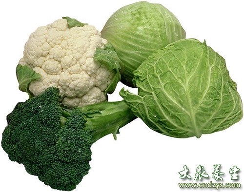 喝酒前吃什么不容易醉而且又不伤胃 怎么喝酒不醉的小技巧揭秘
