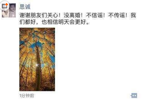陈思成佟丽娅离婚了吗内幕揭秘 陈思成佟丽娅家暴图片曝光