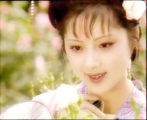 红楼梦张莉是杀人犯吗真相揭秘 张莉为什么不结婚原因现状如何
