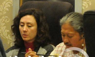 洪金宝现任老婆高丽虹年轻时照片曝光洪金宝的老婆 ...