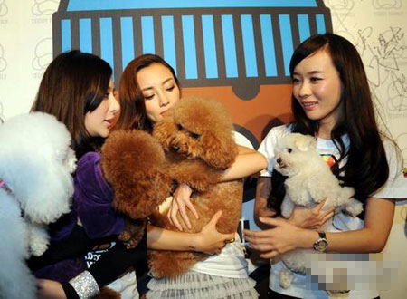 李小璐骂霍思燕的截图李小璐霍思燕为什么决裂两人翻脸原因曝光