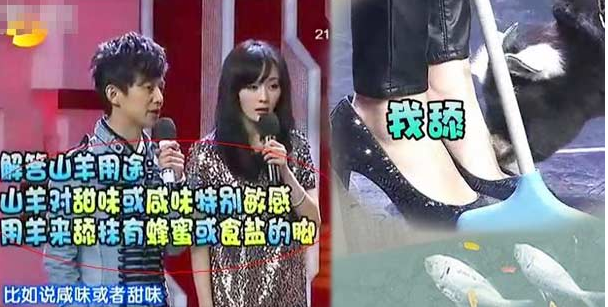 杨幂脚很臭吗天涯图片遭扒 杨幂的胸下垂被刘恺伟强吻真实图片