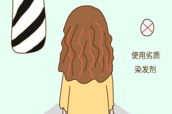 一年染几次头发比较适合?你知道经常染头发有什么危害吗?