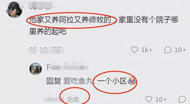 苏小玎塌房了吗怎么回事?苏小玎身价多少亿个人资料简介