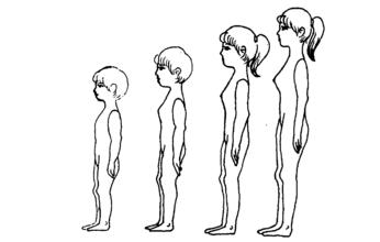 小女孩胸部发育期如何按摩丰胸,小女孩发育时