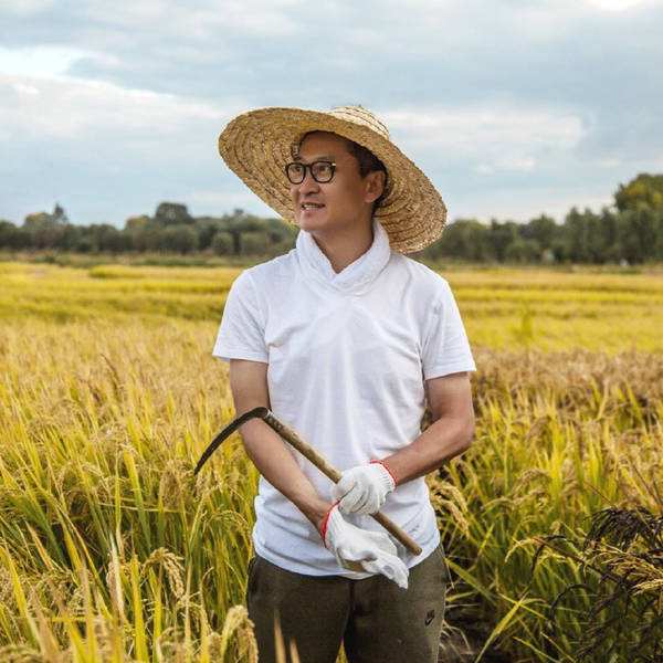 周杰封杀真相揭秘和林心如怎么了?周杰退出娱乐圈已变成超级富豪