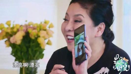向太为什么看好郭碧婷?向太喜欢郭碧婷真相看中她啥性格独来独往