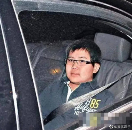 赌王17个子女关系图和列表,梁安琪五个孩子情况和图片何猷邦是谁