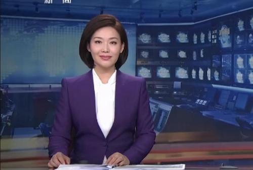 央视播音员郑丽的简历与婚姻状况,郑丽多大年龄结婚了吗老公是谁