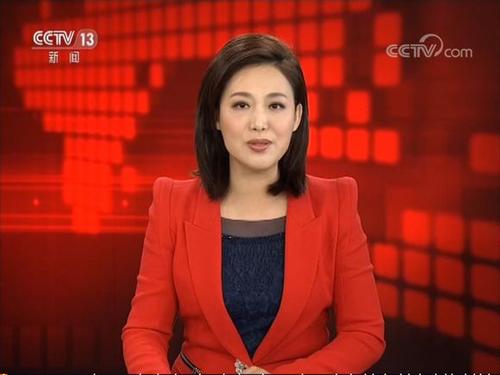 央视播音员郑丽的简历与婚姻状况,郑丽多大年龄结婚了吗老公是谁