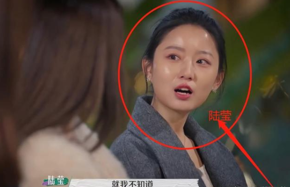 春日迟迟再出发陆莹年龄个人资料简介,陆莹前夫是谁为什么离婚