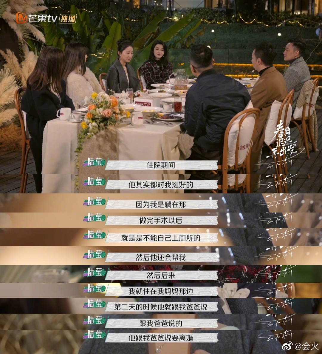 春日迟迟再出发陆莹年龄个人资料简介,陆莹前夫是谁为什么离婚