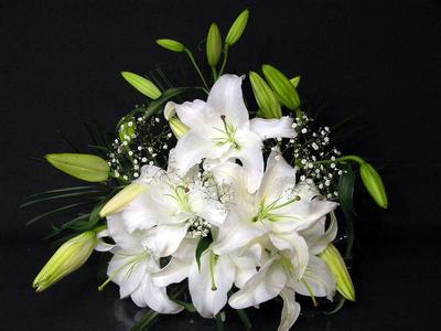 十二星座代表的死亡之花各是什么,十二星座代表死亡之花图片大全