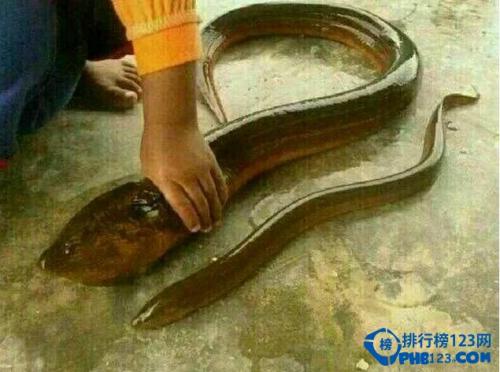 Ļߴֳɾͼ ʷϵĻ155껹