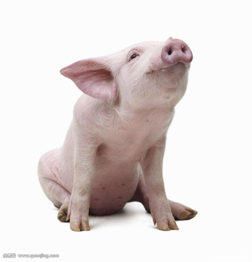 Ϊʲô̧ͷҲܻͷʲô?Ǳ̰Ե캦