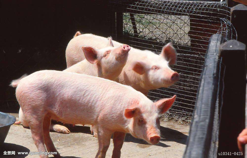 Ϊʲô̧ͷҲܻͷʲô?Ǳ̰Ե캦