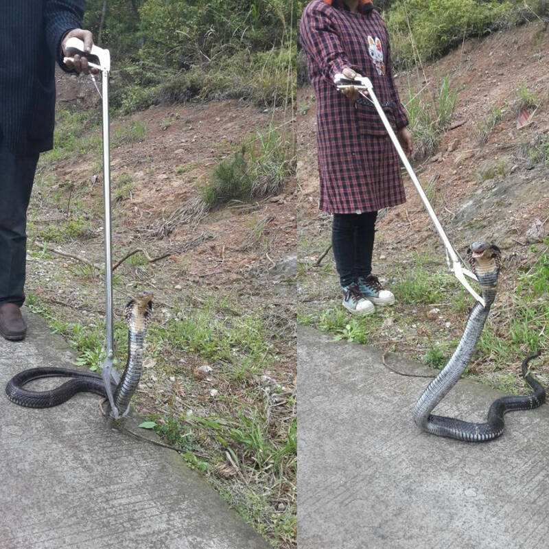 ߴߴ˵ĸǶԵͼ ߱ͱ?
