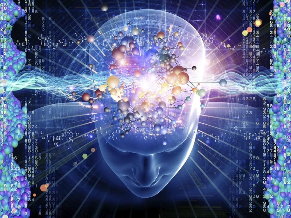 大头宝宝来猜猜,脑袋大的人朋友多和头大一定很聪明的说法哪个对